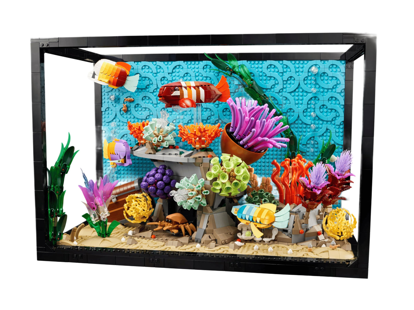 New Tropical Aquarium 10366